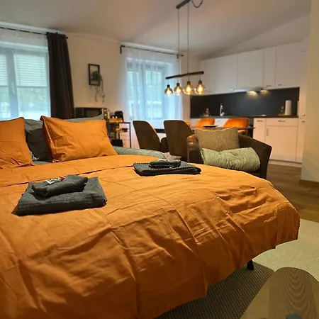 Work And Chill Near Zermatt And Lonza Apartment *